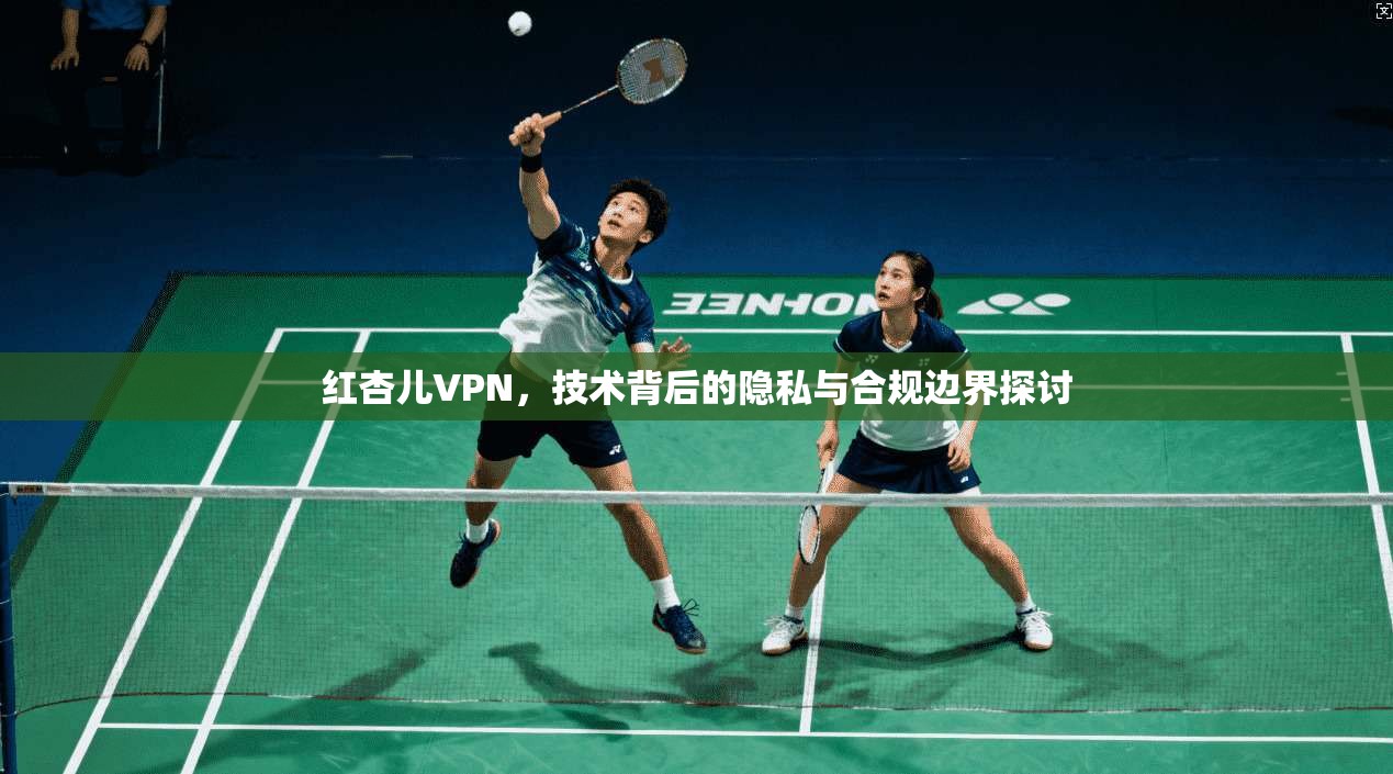 红杏儿VPN，技术背后的隐私与合规边界探讨