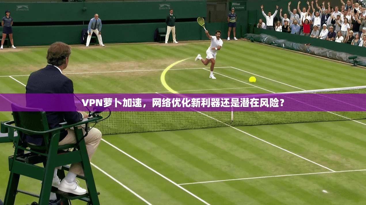 VPN萝卜加速，网络优化新利器还是潜在风险？