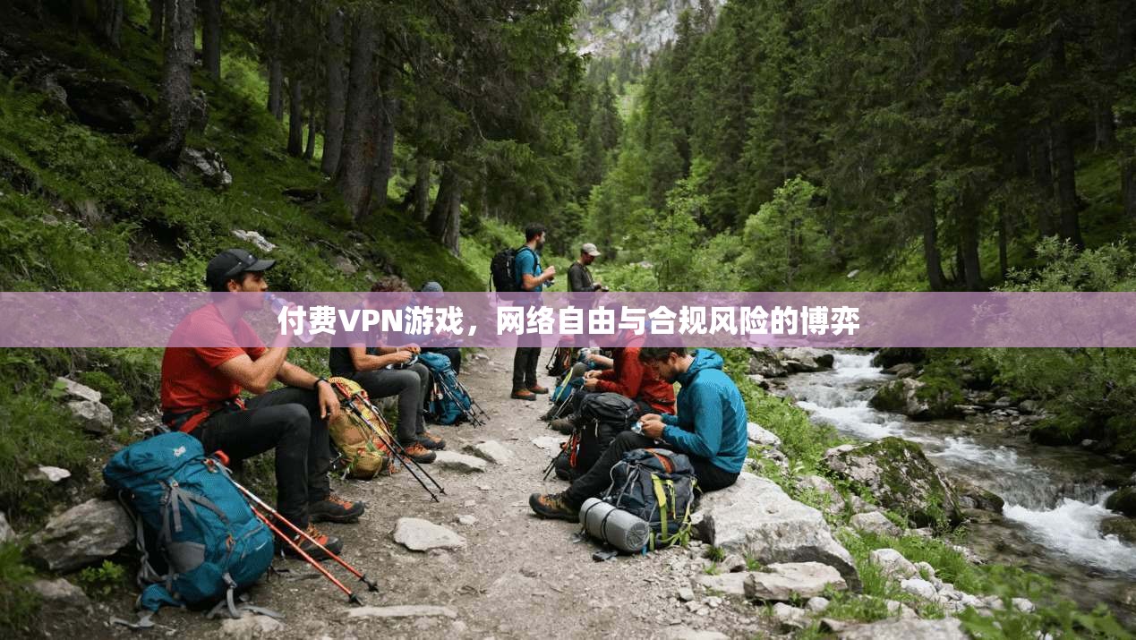 付费VPN游戏，网络自由与合规风险的博弈