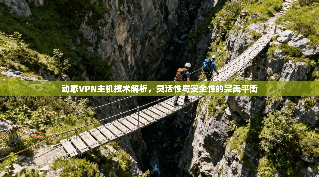 动态VPN主机技术解析，灵活性与安全性的完美平衡