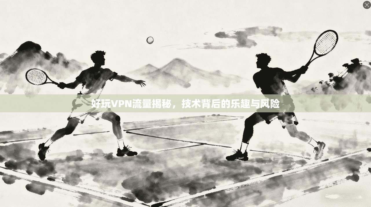 好玩VPN流量揭秘，技术背后的乐趣与风险