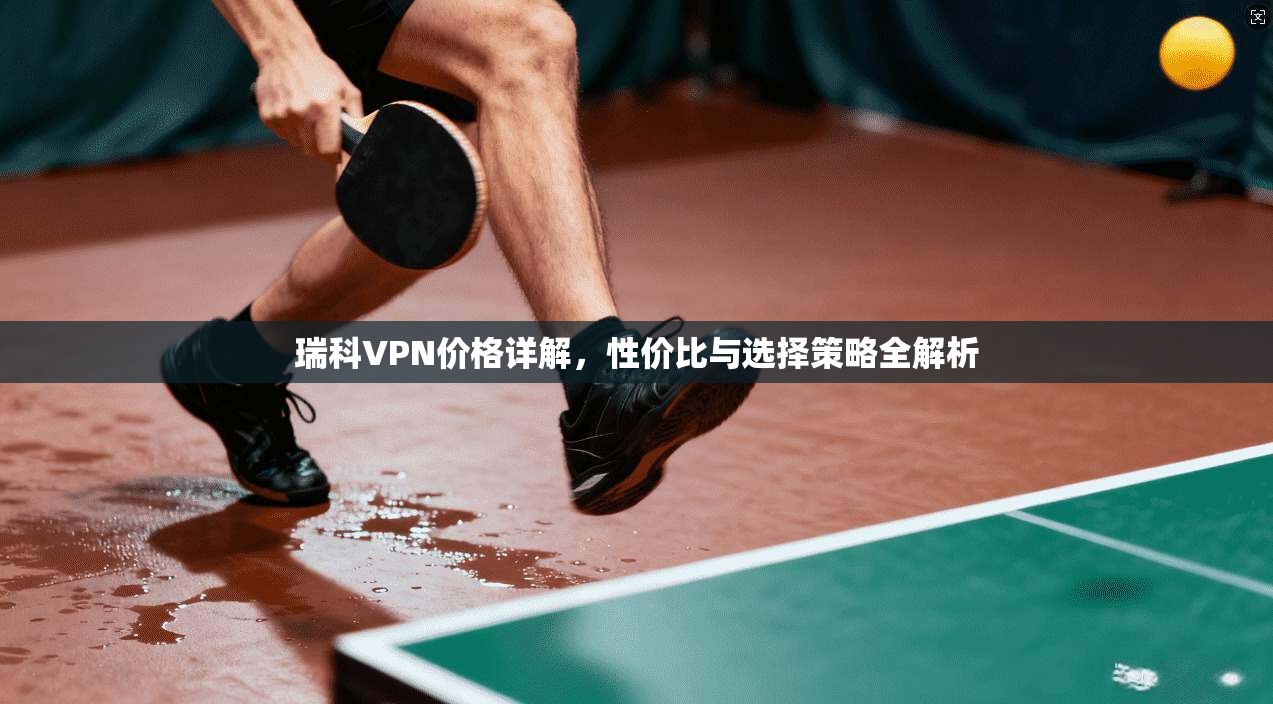 瑞科VPN价格详解，性价比与选择策略全解析