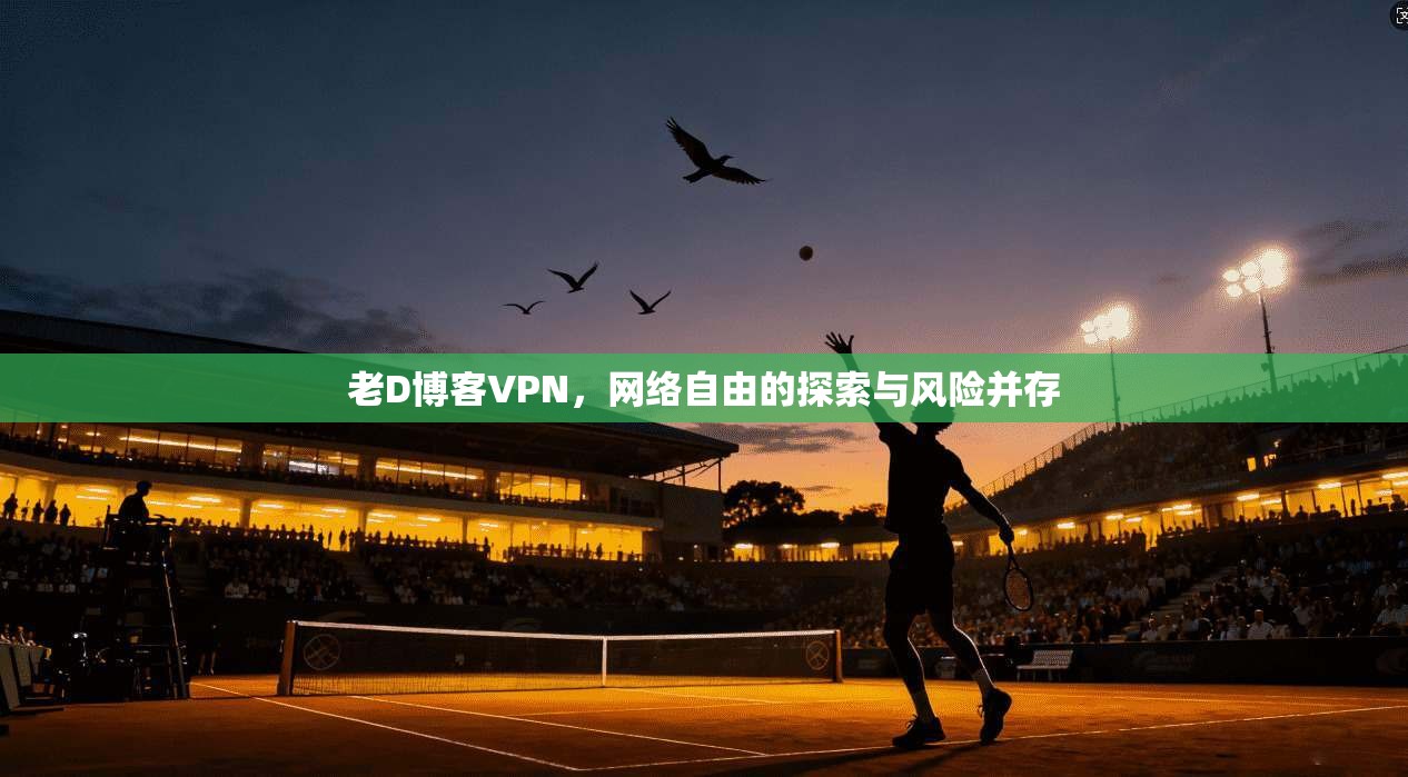 老D博客VPN，网络自由的探索与风险并存