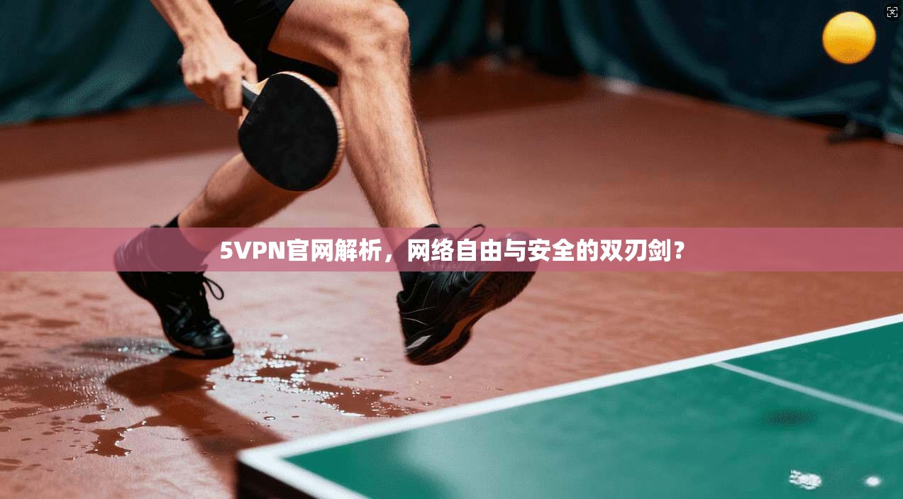 5VPN官网解析，网络自由与安全的双刃剑？
