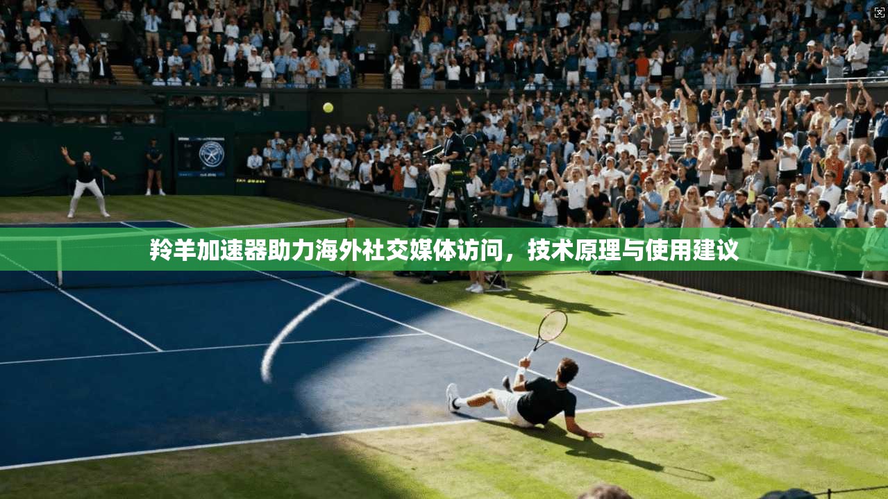 羚羊加速器助力海外社交媒体访问，技术原理与使用建议