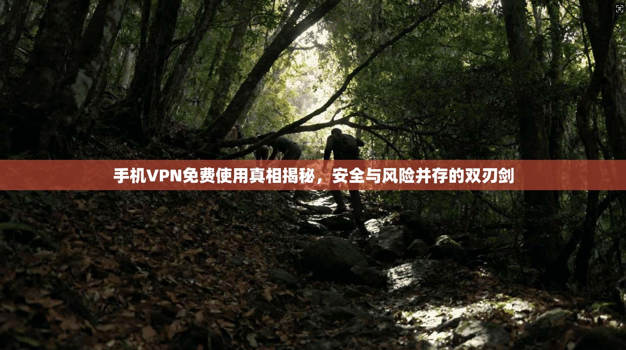 手机VPN免费使用真相揭秘，安全与风险并存的双刃剑
