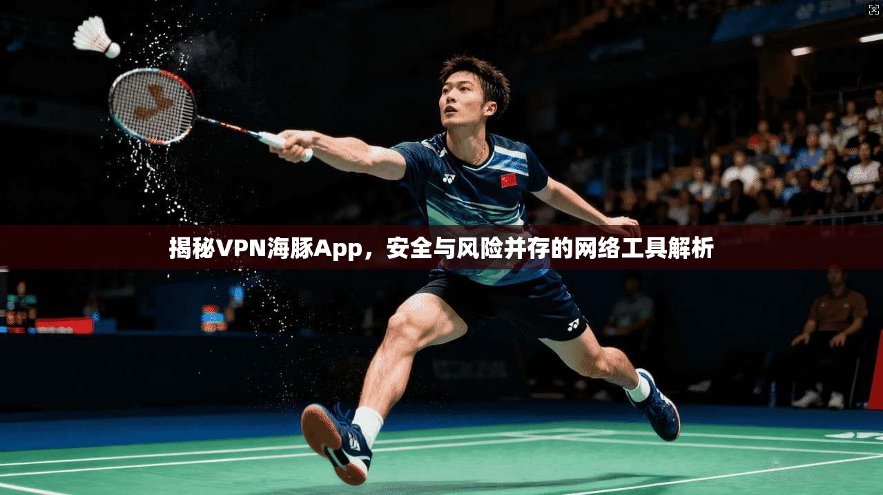 揭秘VPN海豚App，安全与风险并存的网络工具解析