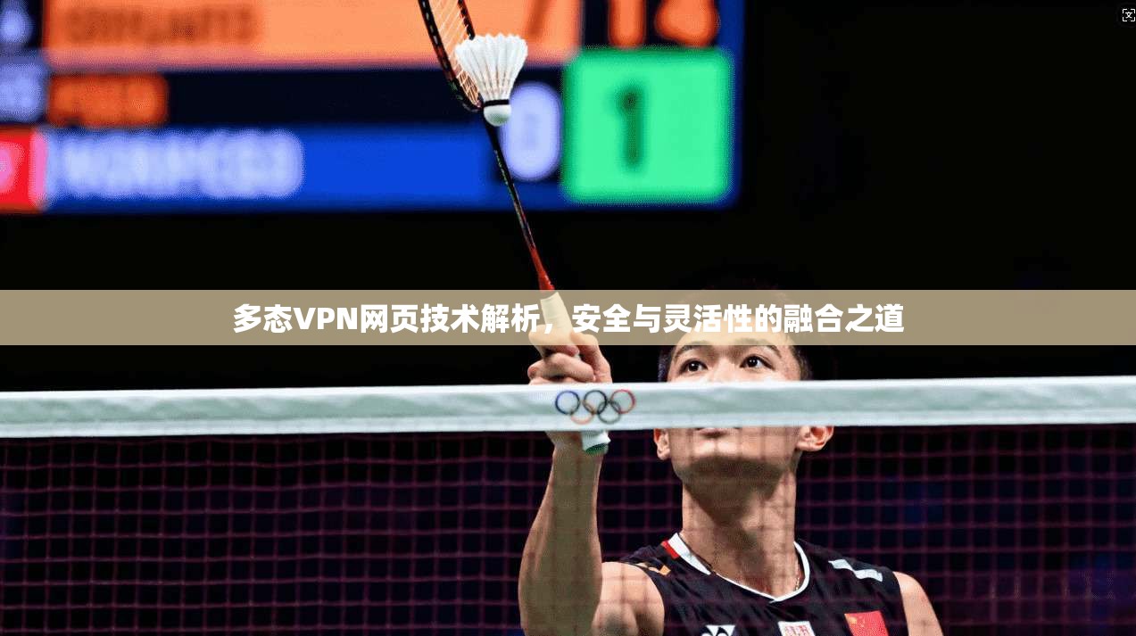 多态VPN网页技术解析，安全与灵活性的融合之道