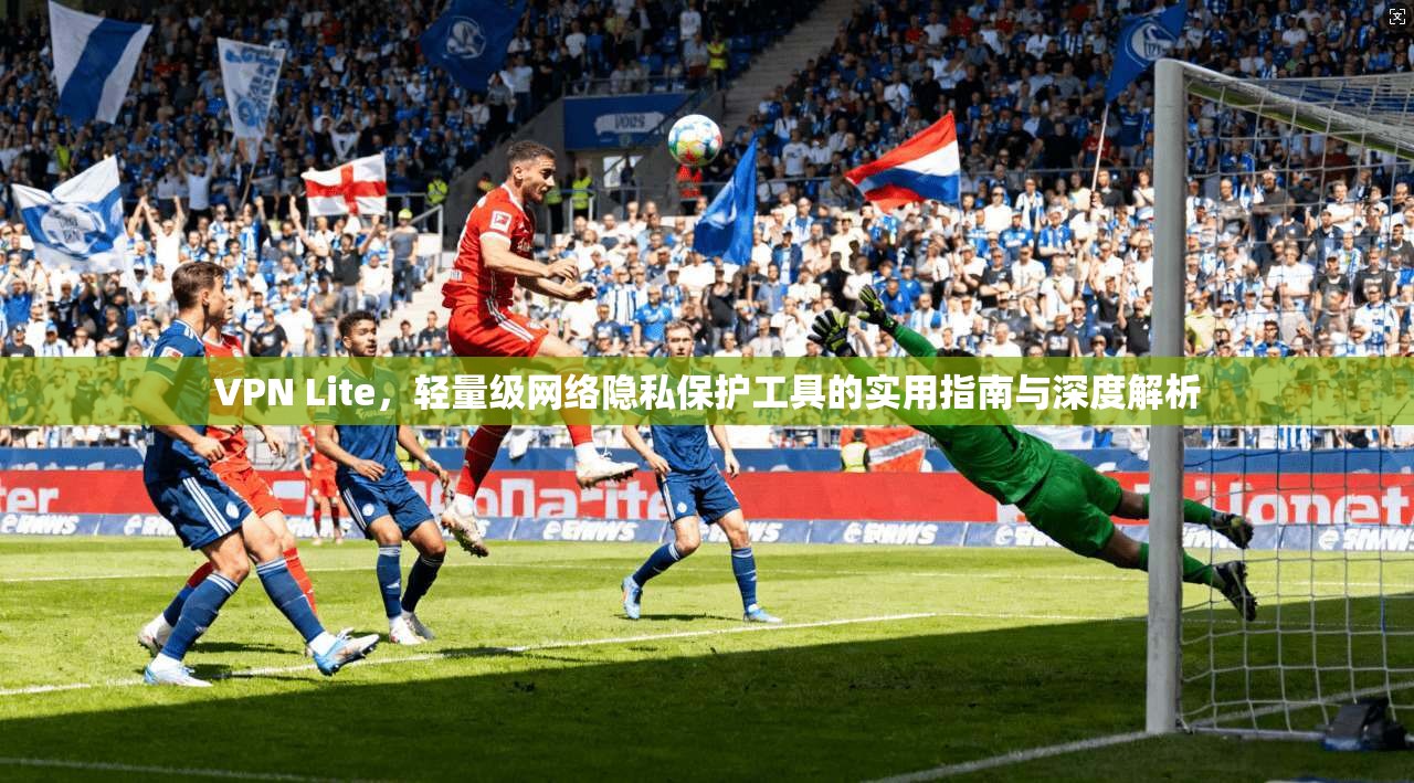 VPN Lite，轻量级网络隐私保护工具的实用指南与深度解析
