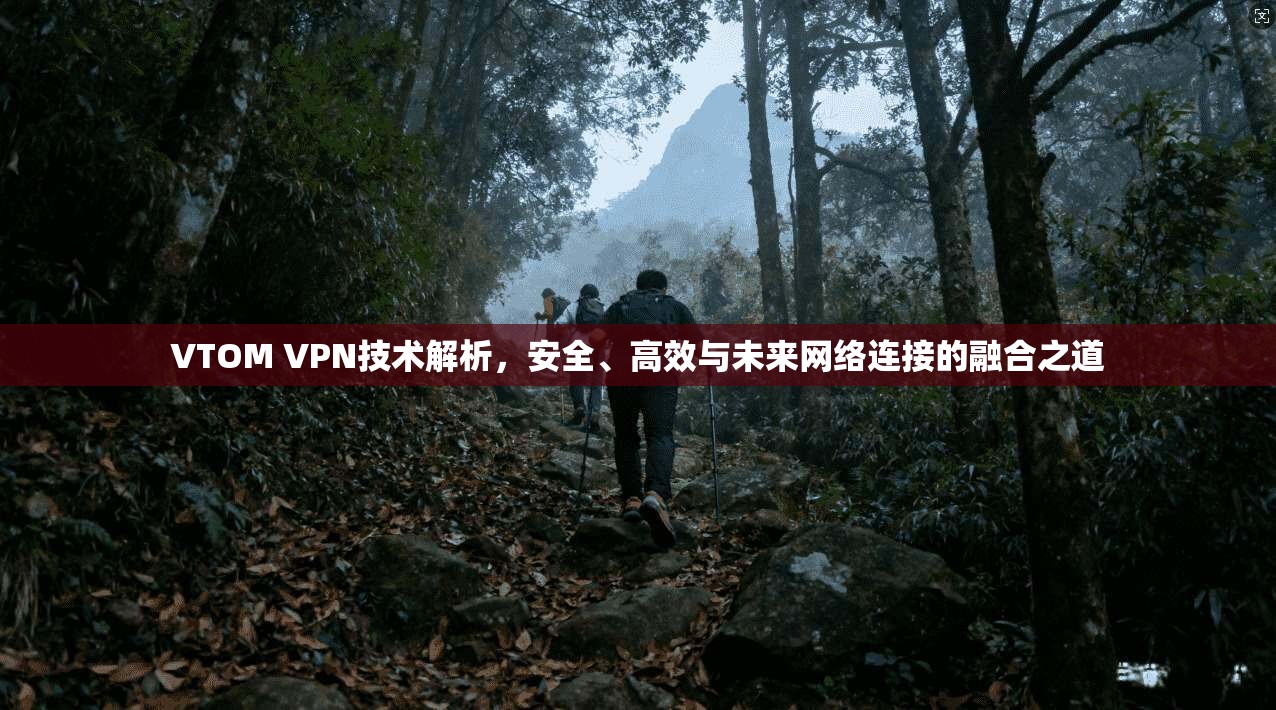 VTOM VPN技术解析，安全、高效与未来网络连接的融合之道