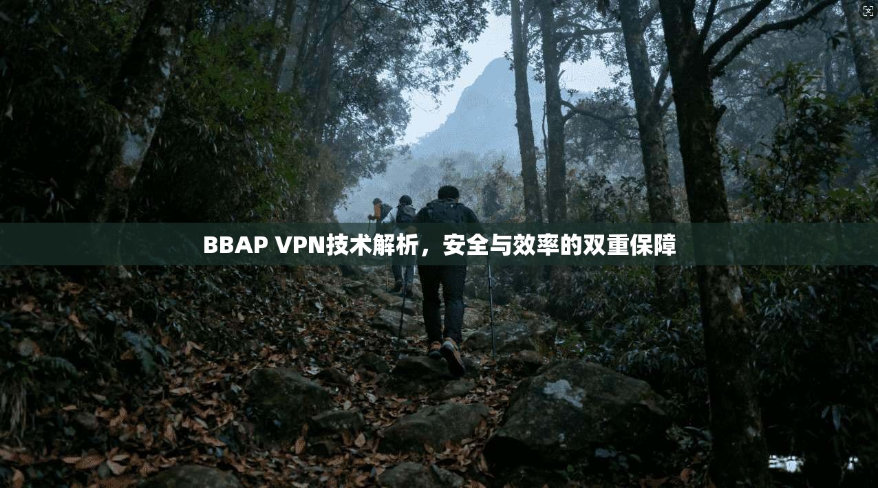 BBAP VPN技术解析，安全与效率的双重保障