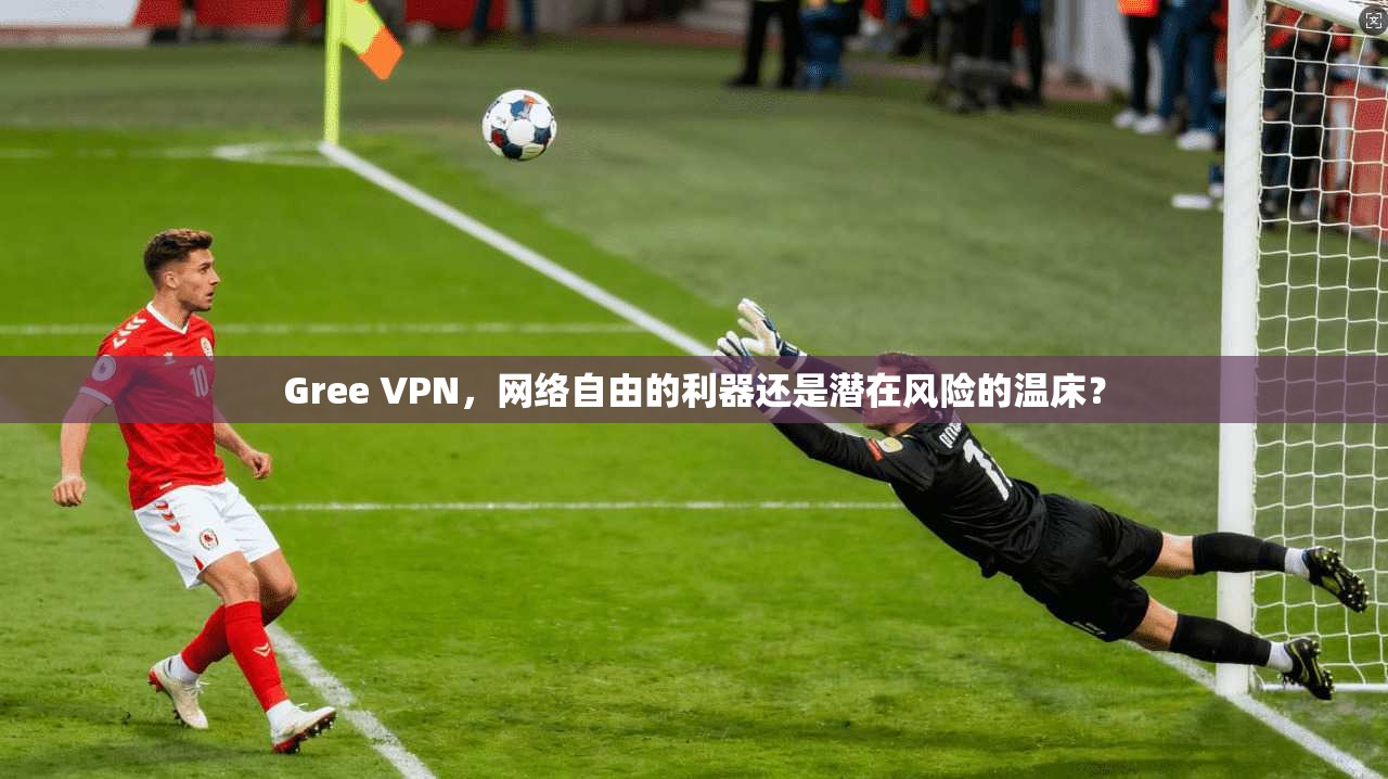 Gree VPN，网络自由的利器还是潜在风险的温床？