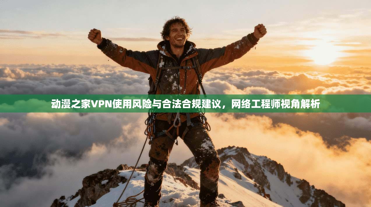 动漫之家VPN使用风险与合法合规建议，网络工程师视角解析