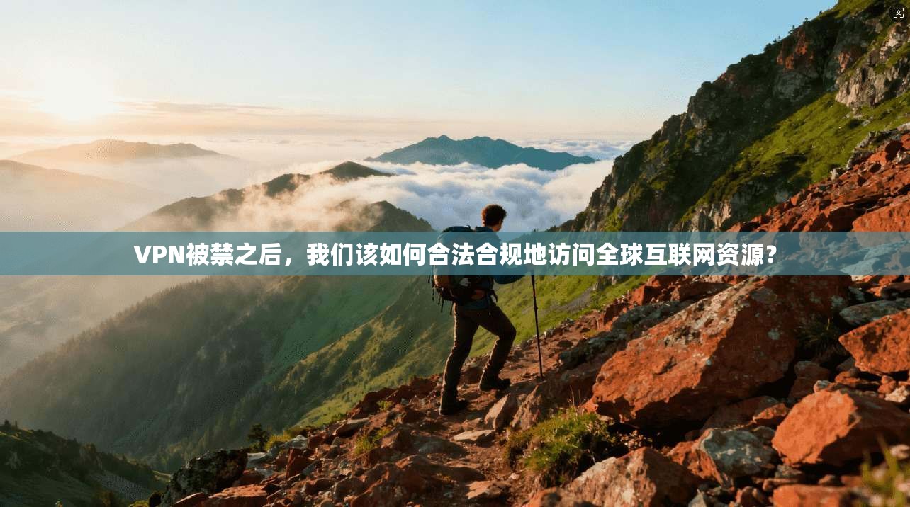 VPN被禁之后，我们该如何合法合规地访问全球互联网资源？