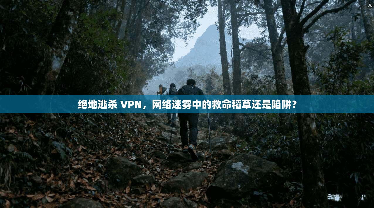 绝地逃杀 VPN，网络迷雾中的救命稻草还是陷阱？
