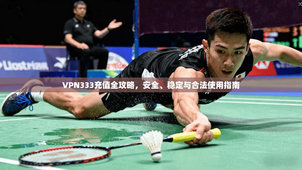 VPN333充值全攻略，安全、稳定与合法使用指南