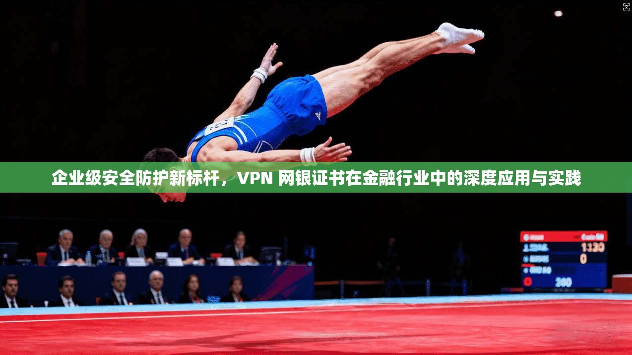 企业级安全防护新标杆，VPN 网银证书在金融行业中的深度应用与实践