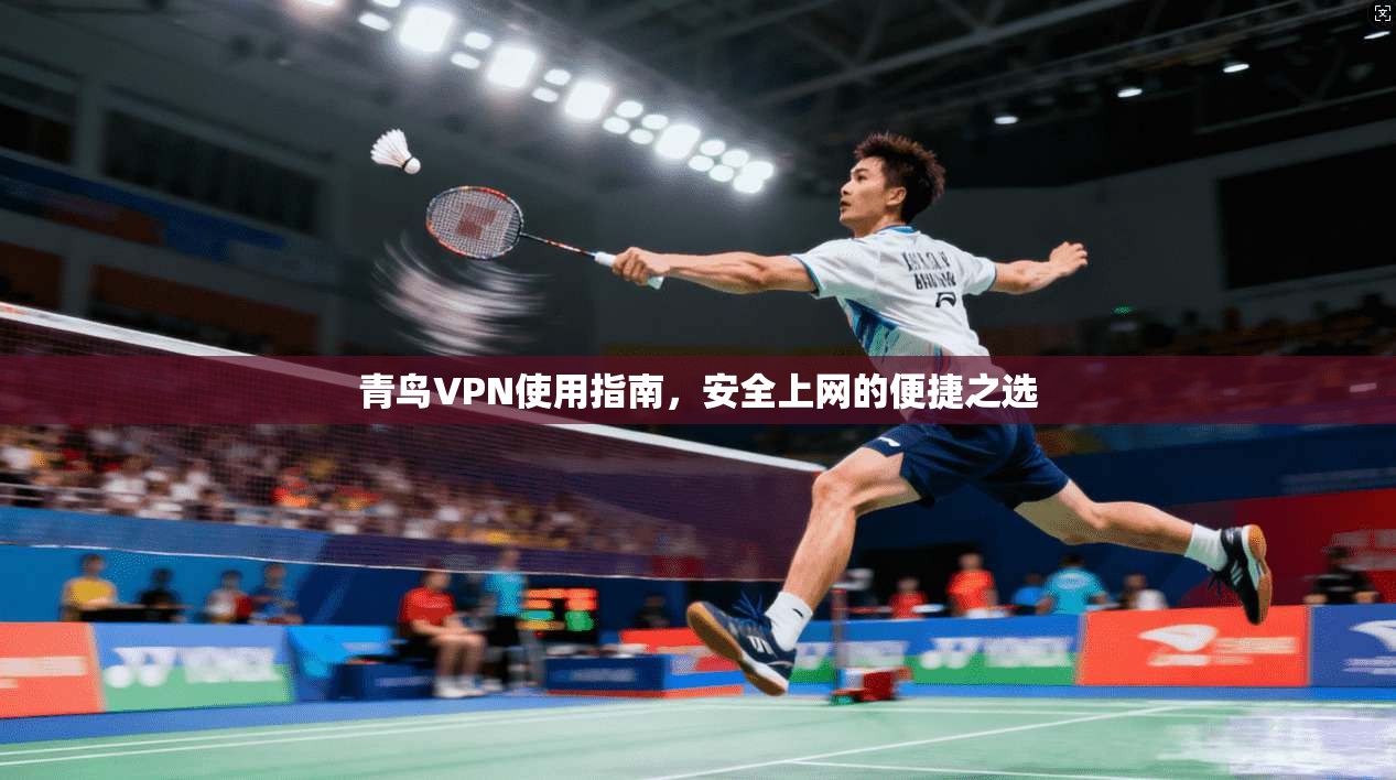 青鸟VPN使用指南，安全上网的便捷之选