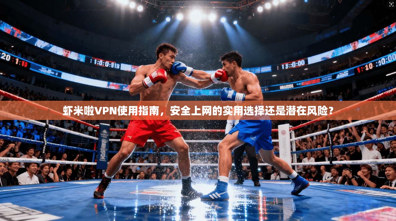 虾米啦VPN使用指南，安全上网的实用选择还是潜在风险？