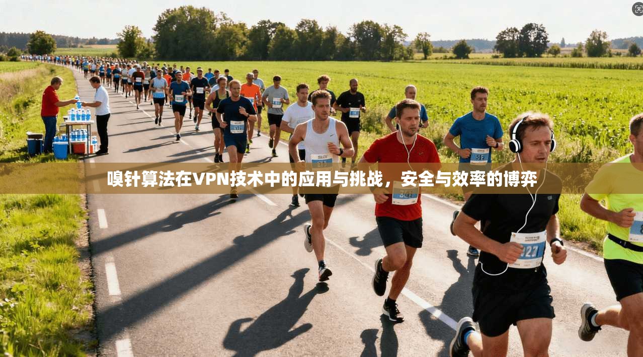 嗅针算法在VPN技术中的应用与挑战，安全与效率的博弈