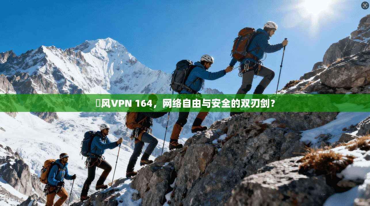 賽风VPN 164，网络自由与安全的双刃剑？