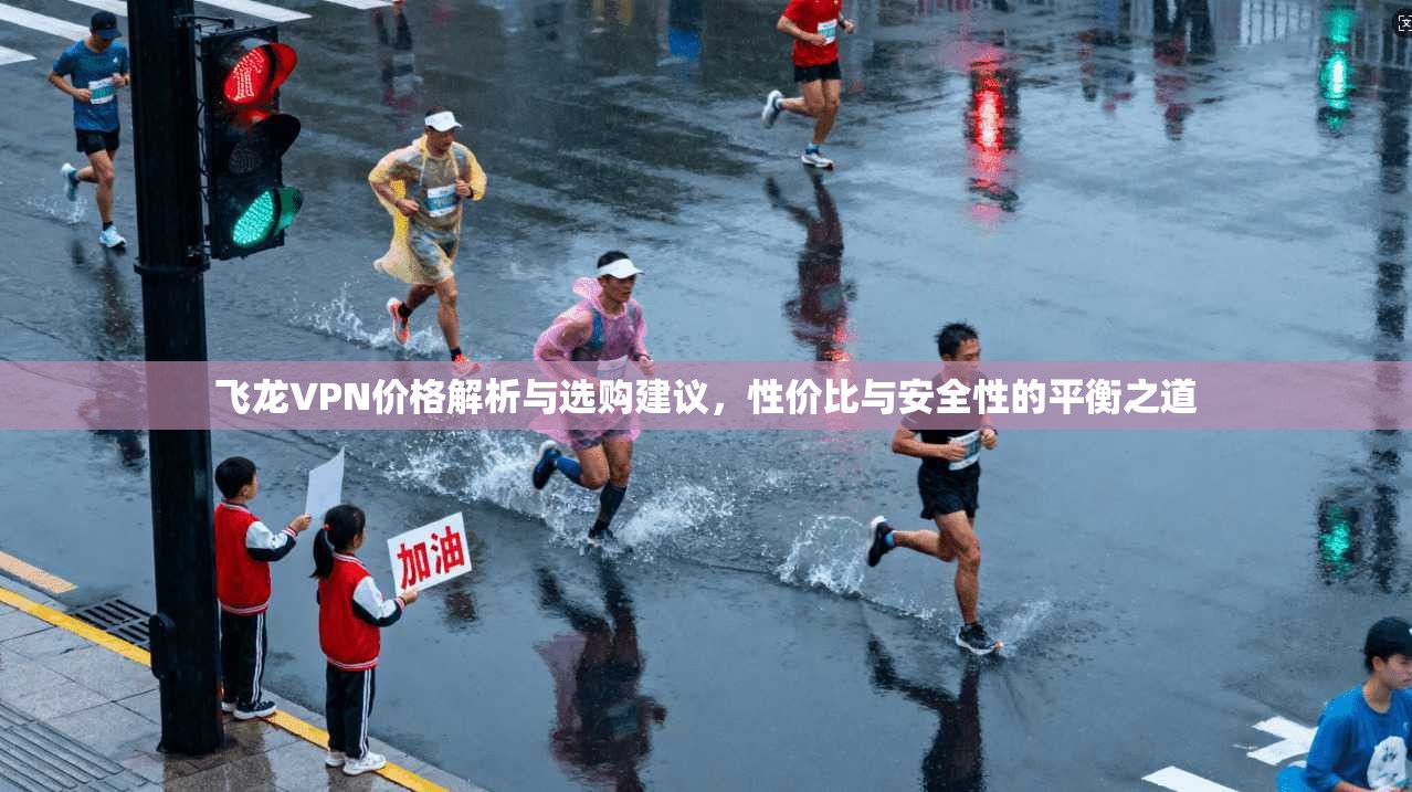 飞龙VPN价格解析与选购建议，性价比与安全性的平衡之道