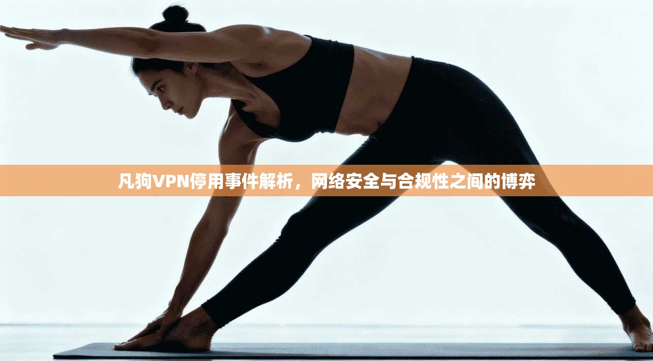凡狗VPN停用事件解析，网络安全与合规性之间的博弈