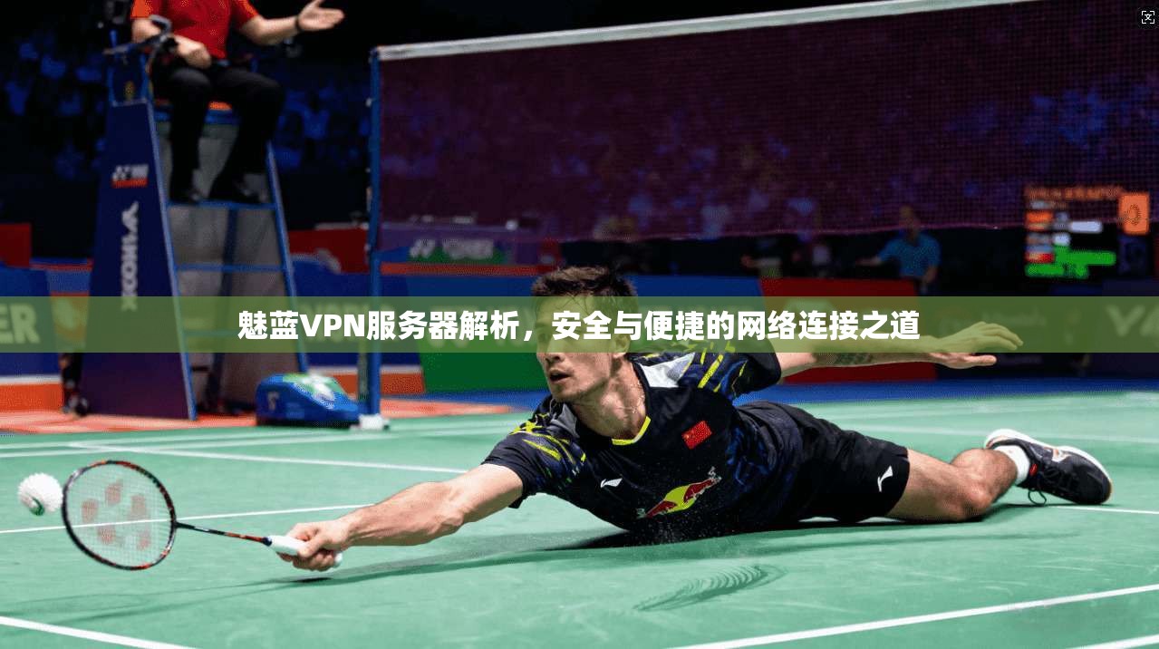 魅蓝VPN服务器解析，安全与便捷的网络连接之道