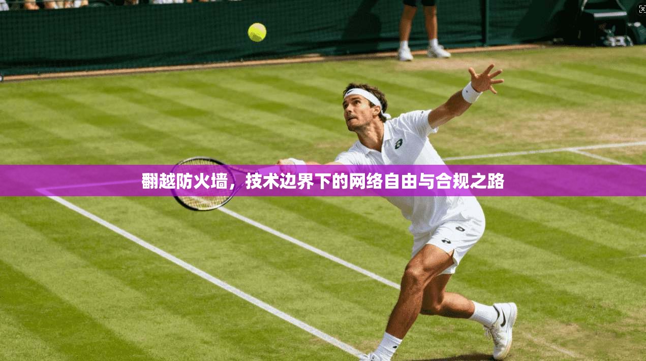 翻越防火墙，技术边界下的网络自由与合规之路