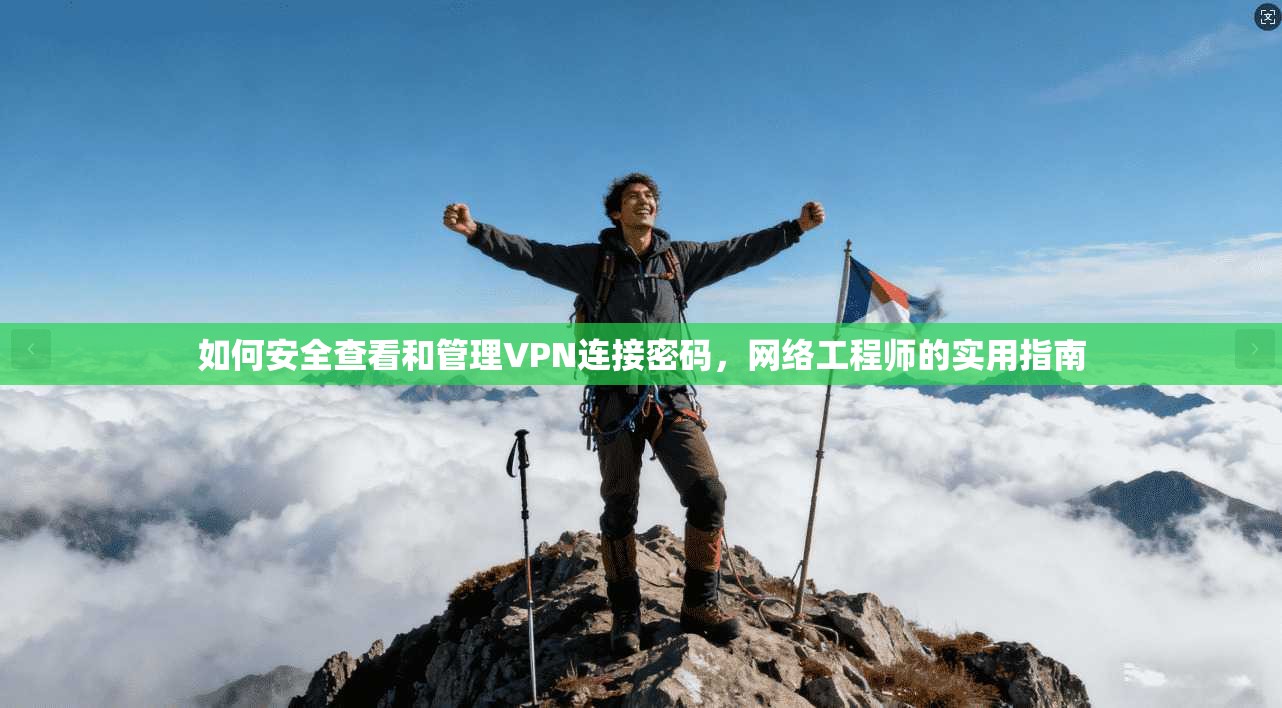 如何安全查看和管理VPN连接密码，网络工程师的实用指南