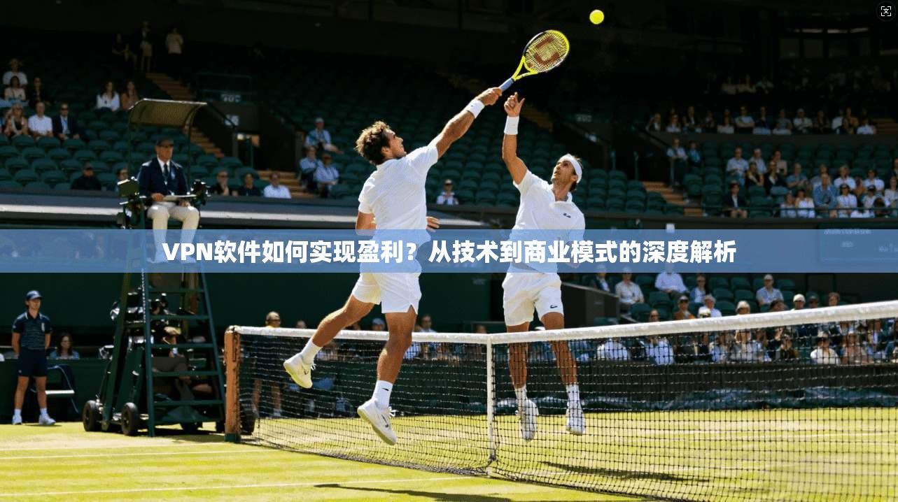 VPN软件如何实现盈利？从技术到商业模式的深度解析