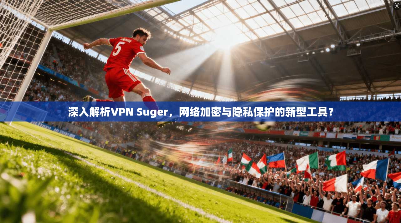 深入解析VPN Suger，网络加密与隐私保护的新型工具？