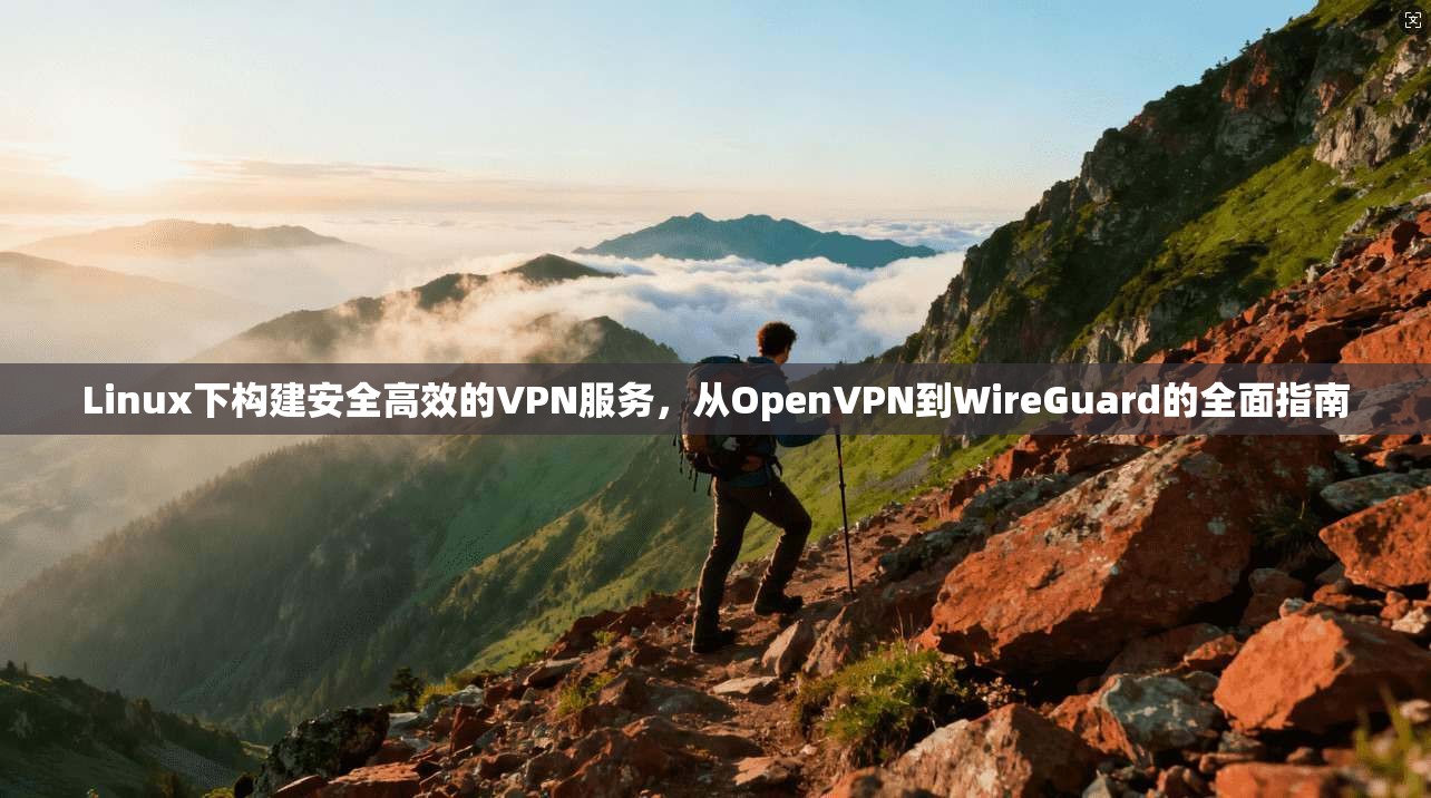 Linux下构建安全高效的VPN服务，从OpenVPN到WireGuard的全面指南