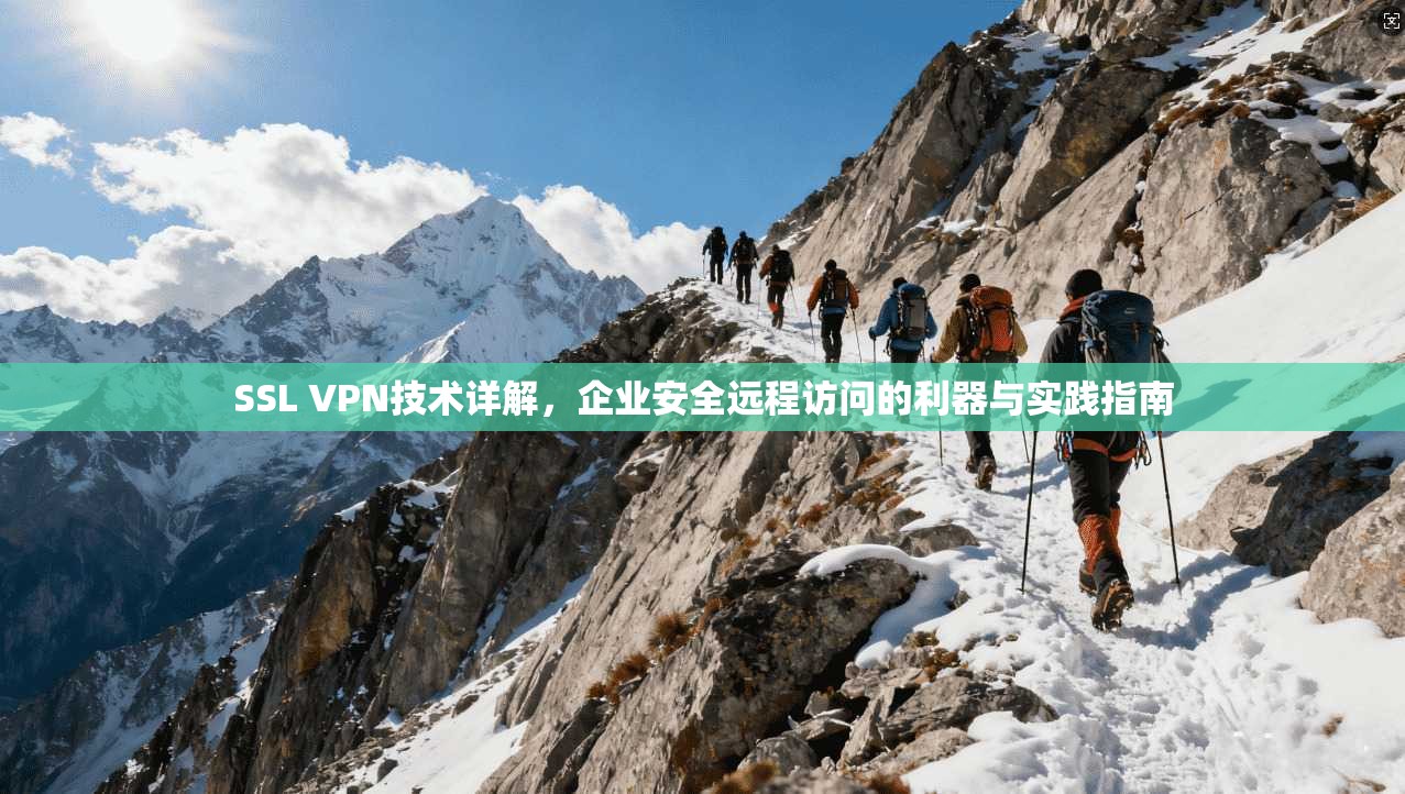 SSL VPN技术详解，企业安全远程访问的利器与实践指南