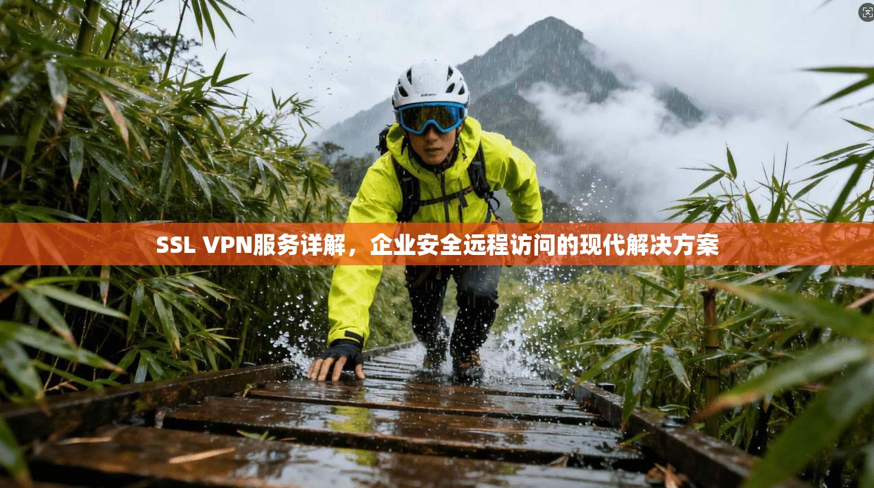 SSL VPN服务详解，企业安全远程访问的现代解决方案