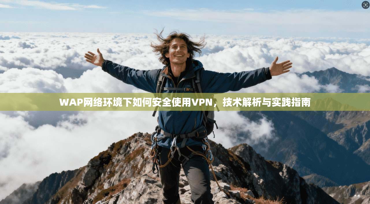 WAP网络环境下如何安全使用VPN，技术解析与实践指南