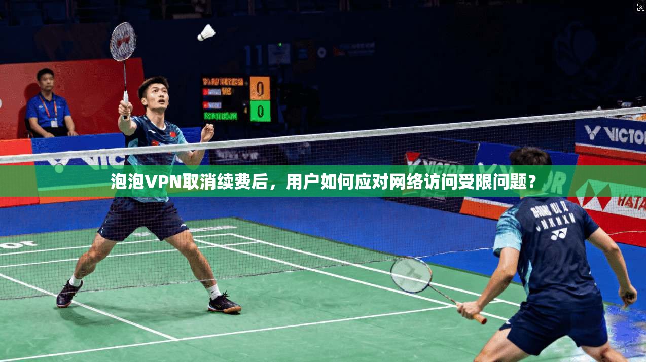泡泡VPN取消续费后，用户如何应对网络访问受限问题？