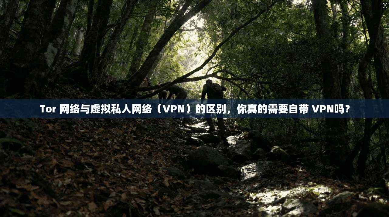 Tor 网络与虚拟私人网络（VPN）的区别，你真的需要自带 VPN吗？
