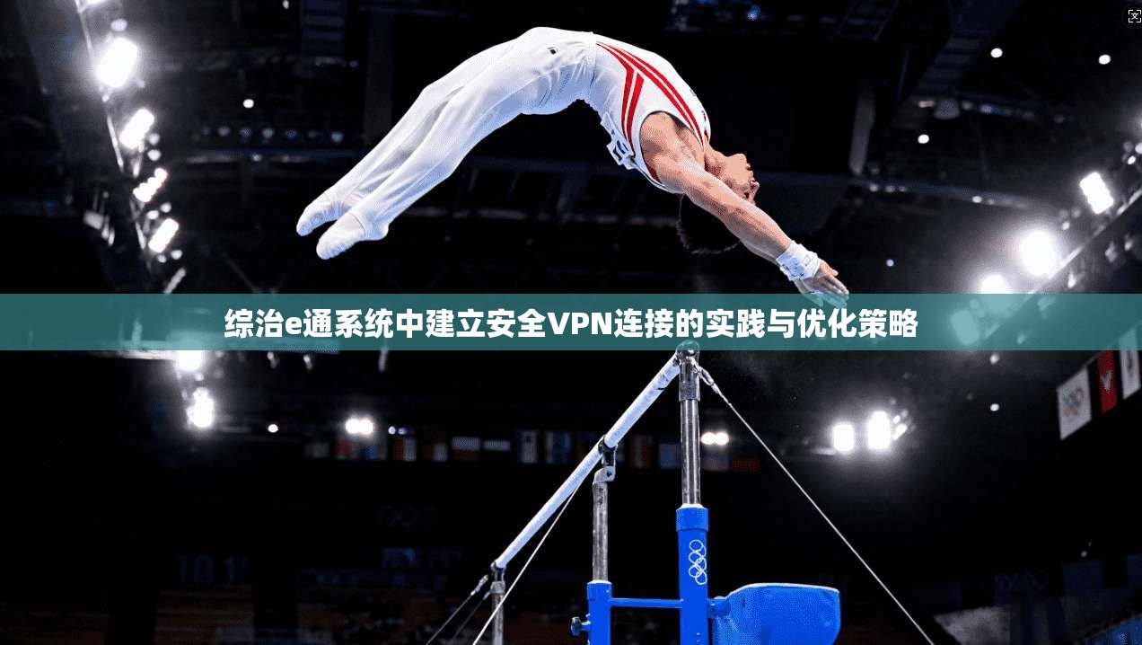 综治e通系统中建立安全VPN连接的实践与优化策略