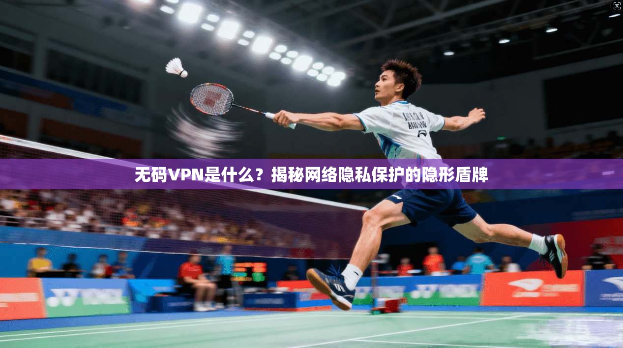 无码VPN是什么？揭秘网络隐私保护的隐形盾牌