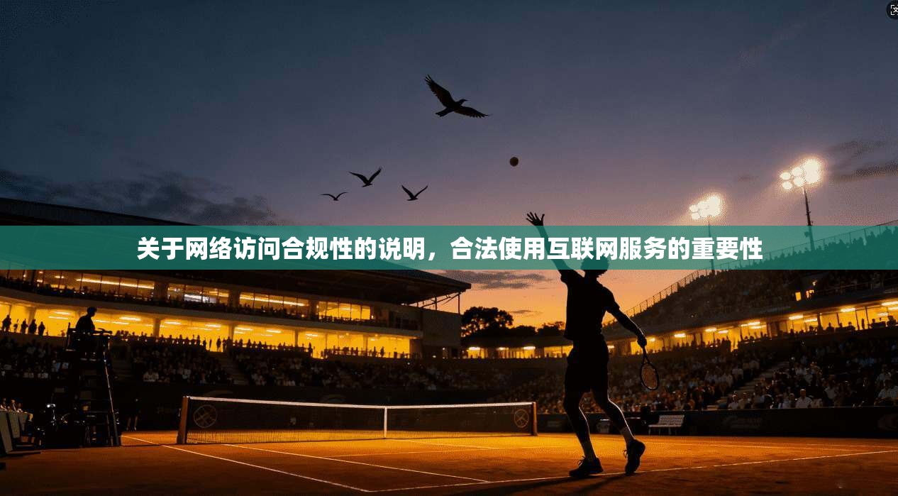 关于网络访问合规性的说明,合法使用互联网服务的重要性 关于网络访问合规性的说明,合法使用互联网服务的重要性