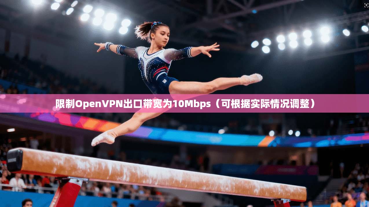 限制OpenVPN出口带宽为10Mbps(可根据实际情况调整) 限制OpenVPN出口带宽为10Mbps(可根据实际情况调整)