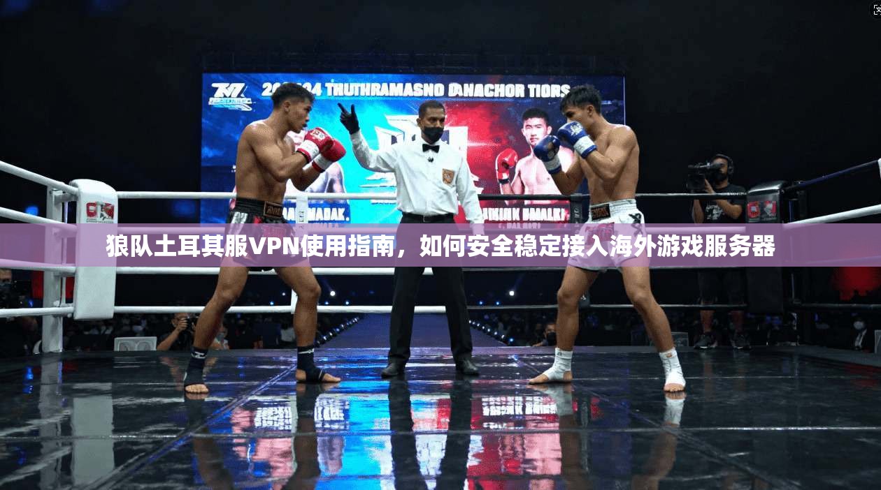 狼队土耳其服VPN使用指南，如何安全稳定接入海外游戏服务器