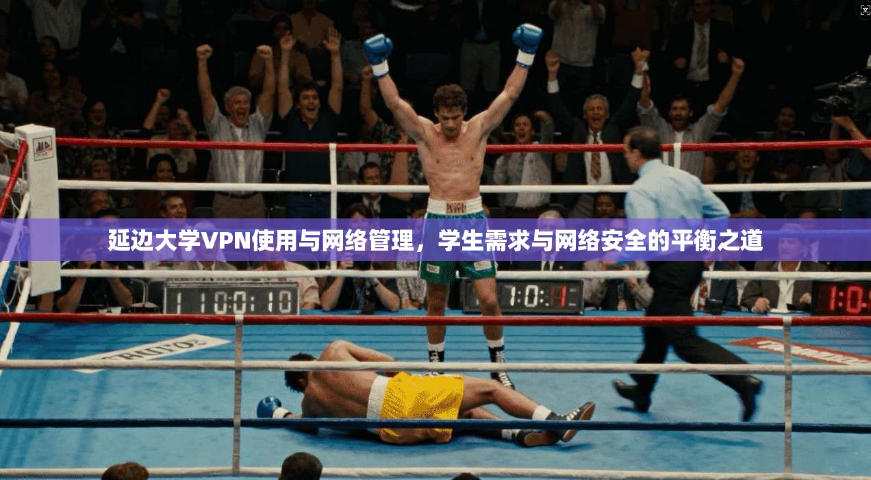 延边大学VPN使用与网络管理，学生需求与网络安全的平衡之道