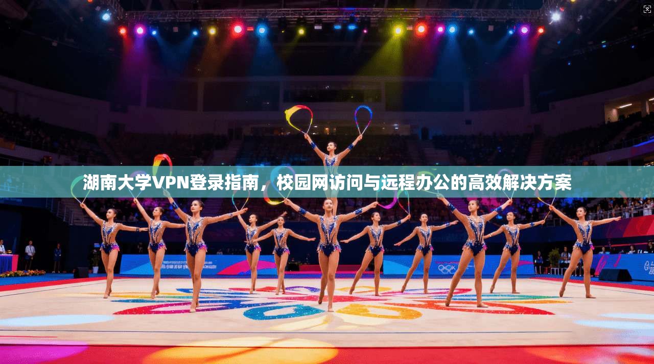 湖南大学VPN登录指南，校园网访问与远程办公的高效解决方案