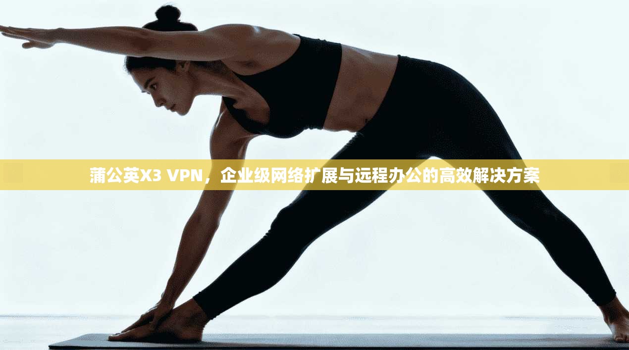 蒲公英X3 VPN，企业级网络扩展与远程办公的高效解决方案