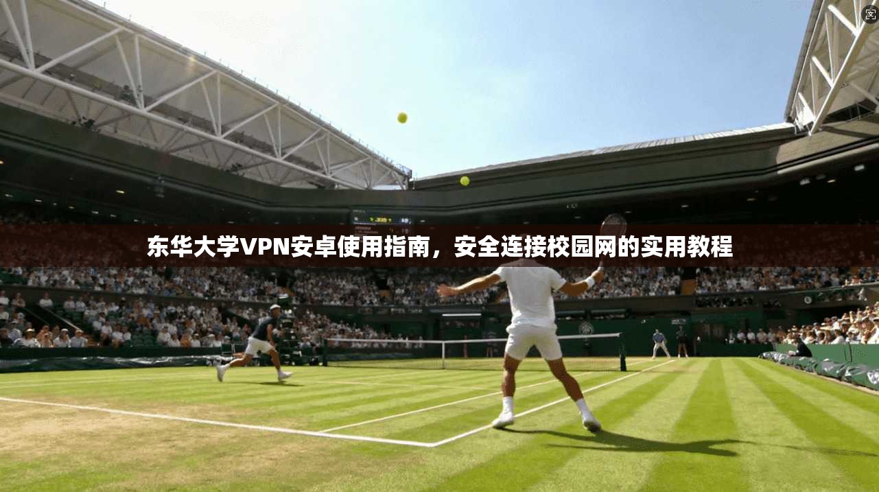 东华大学VPN安卓使用指南，安全连接校园网的实用教程