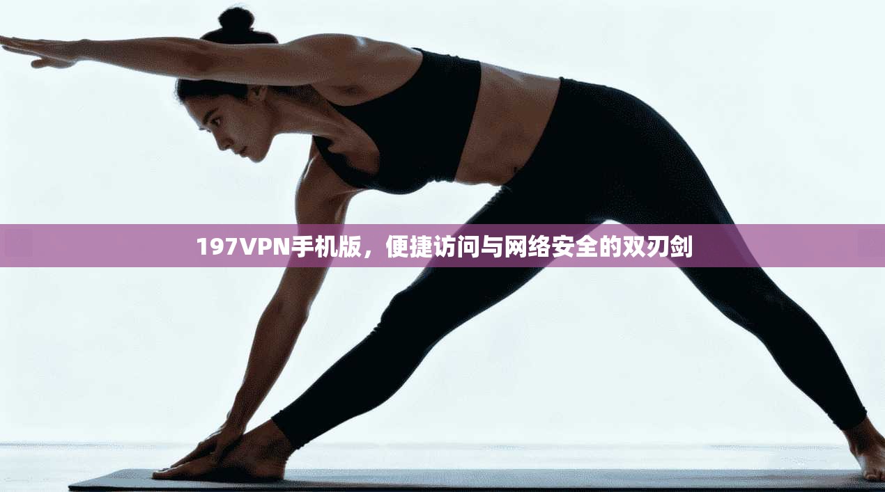 197VPN手机版，便捷访问与网络安全的双刃剑