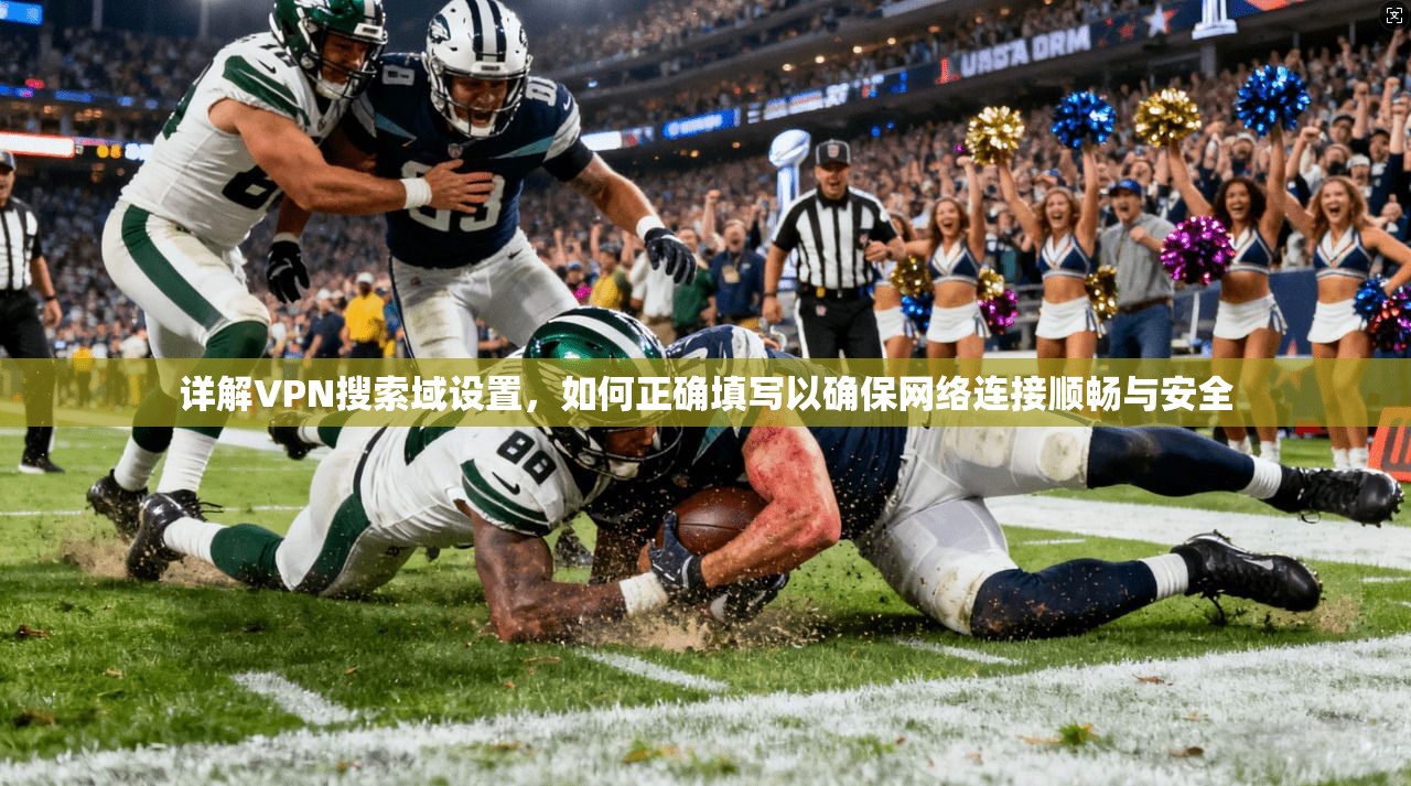 详解VPN搜索域设置，如何正确填写以确保网络连接顺畅与安全