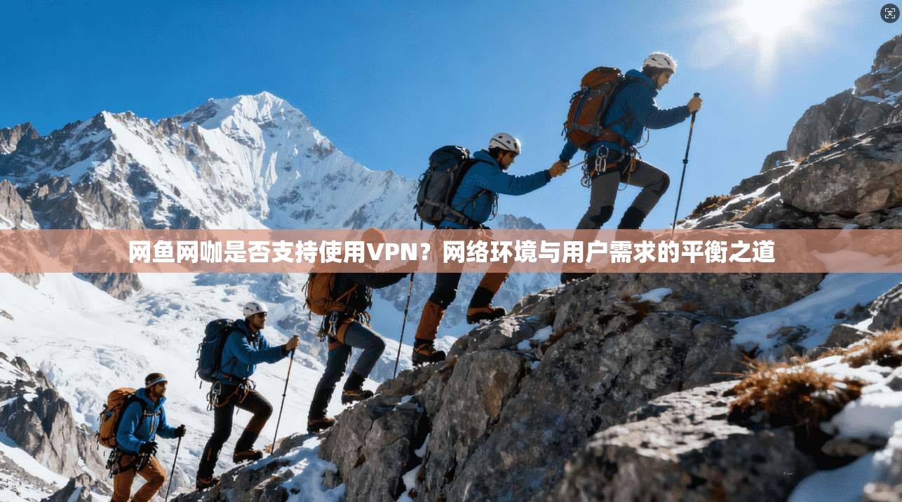 网鱼网咖是否支持使用VPN？网络环境与用户需求的平衡之道